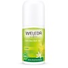 Deodorant roll-on citrus