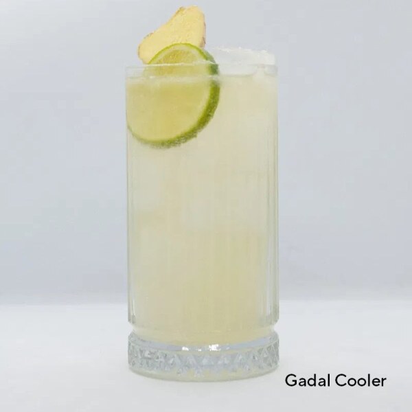 Gadal-Tea-Cocktail-retete-ceai-organic