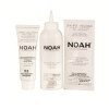 Noah-vopsea-naturala-5