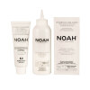 Noah-vopsea-naturala-6-blond-inchis-3