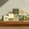 Rampal-sapun-Marsilia-organic-MASLINE-mood-1