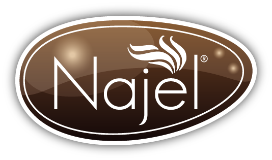 logo_najel